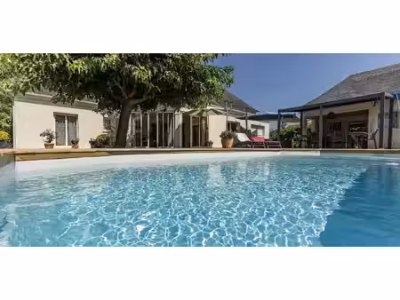 maison avec piscine et jardin artix (64)