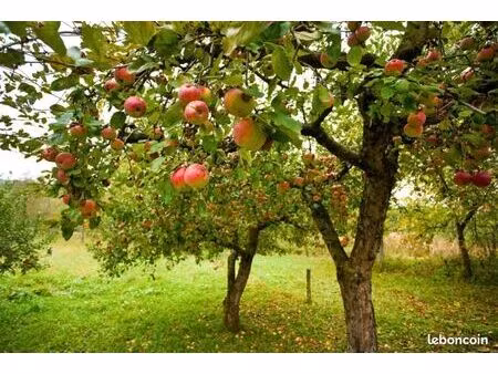 terrain agricole