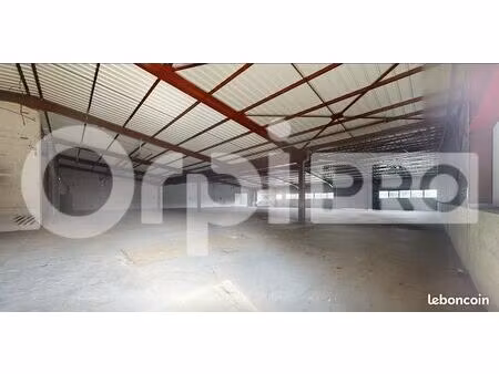 local d'activité 990 m²