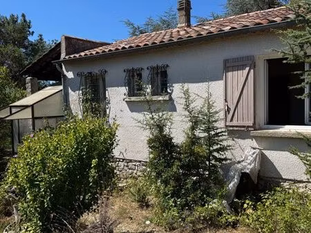 maison avec grand terrain