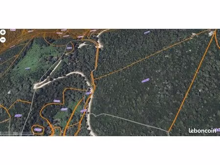 importante parcelle très boisée à 30mn est d'ajaccio