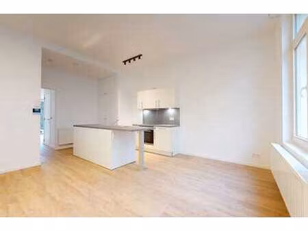 appartement lumineux et rénové à koekelberg