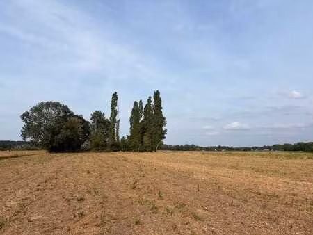 terrain agricole avec bois à vendre à hertsberge