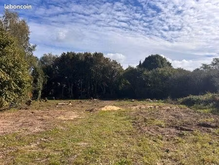 terrain 1980 m2