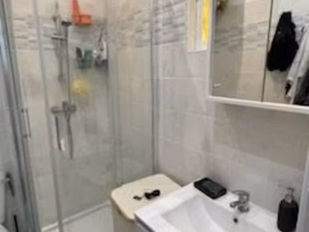 loue t1 piece principale salle de bain détachée