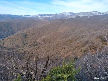 bois ou terrain