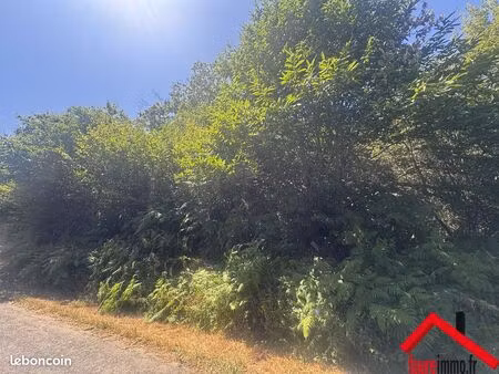 terrain 3765 m² vignols