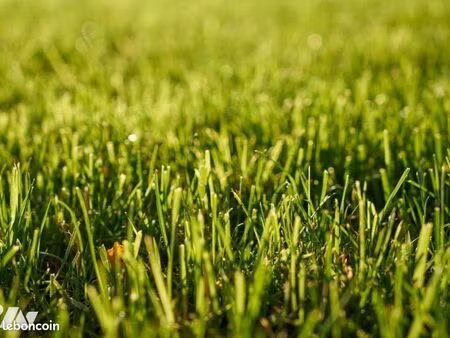 bien agricole 92600 m² plouguenast