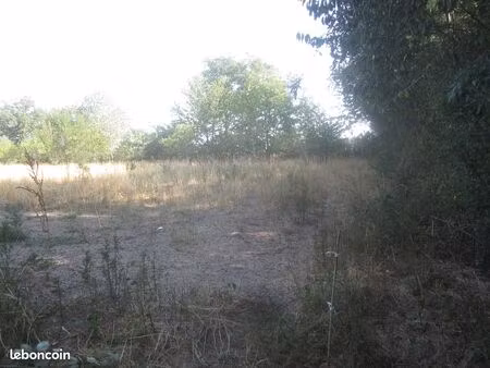 deux terrains agricoles 0.53 ha