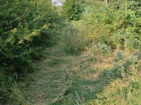 terrain agricole pour mouton ou chèvre