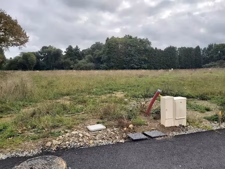 vente maison neuve 5 pièces 93 m² à vouille (86190)  208 759 €