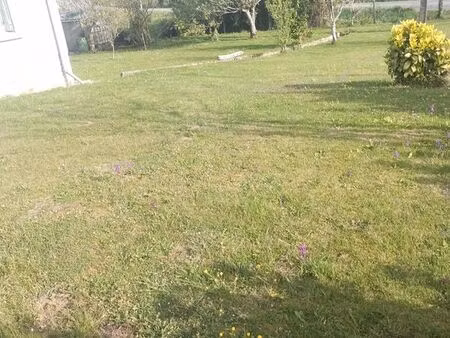 terrain avec maison