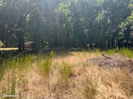 terrain 2 855 m² saint vivien de medoc