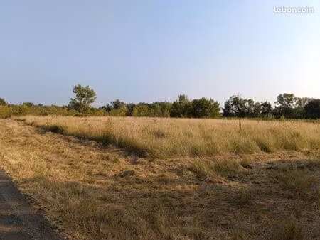 terrain agricole