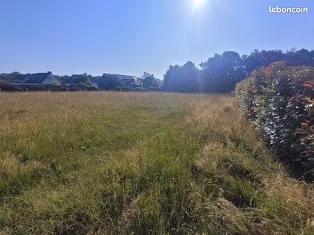 terrain 366 m² andouille neuville