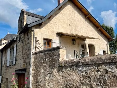 maison vue sur loire  candes saint-martin