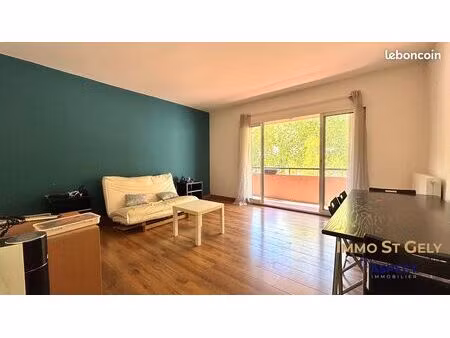 appartement 2 pièces 55 m²