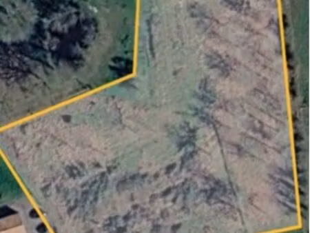 terrain agricole