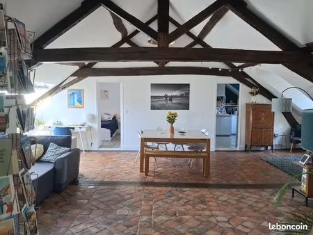 duplex d'exception - 4 pièces - 120 m² (200 m² au sol) - vue loire - hyper centre