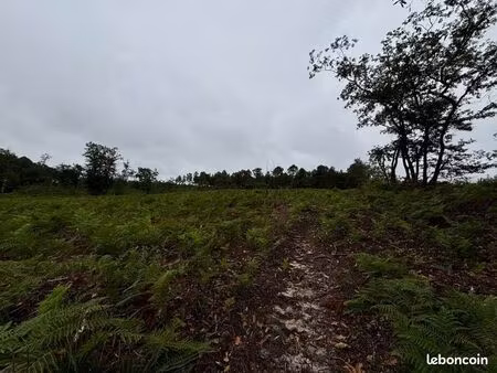terrain 1ha