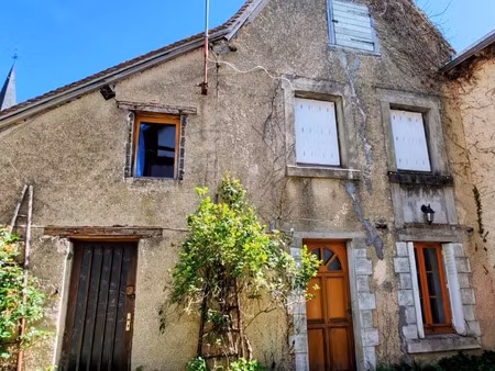 maison à vendre 4 pièces moulins sur cephons (36)