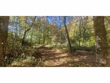 bois à vendre  lagrange (40)