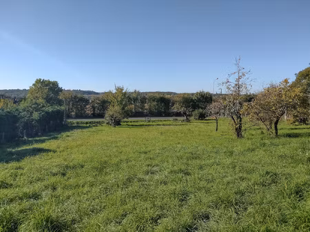 terrain constructible