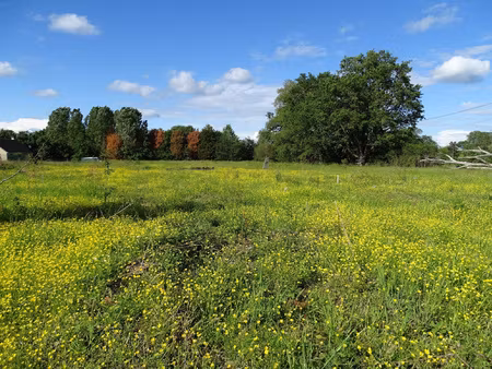 terrain à bâtir