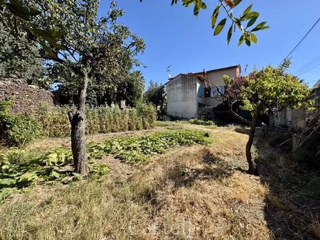 terrain