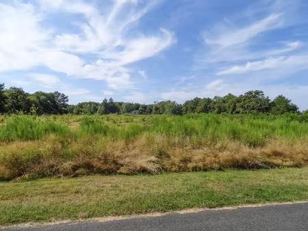 terrain à bâtir