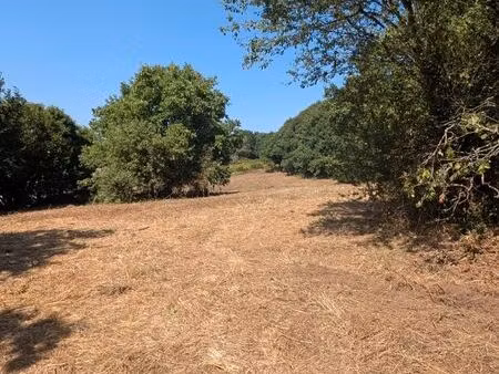 location terrain