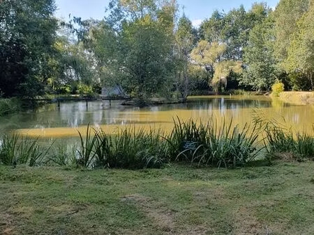 etang terrain de loisir