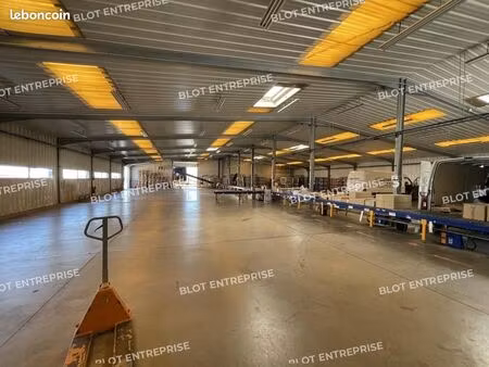 local d'activité 1 350 m²