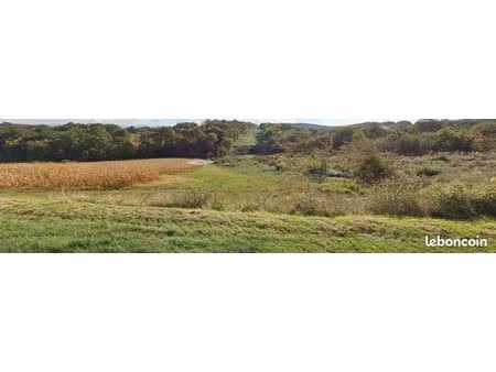 a vendre terre agricole / taillis