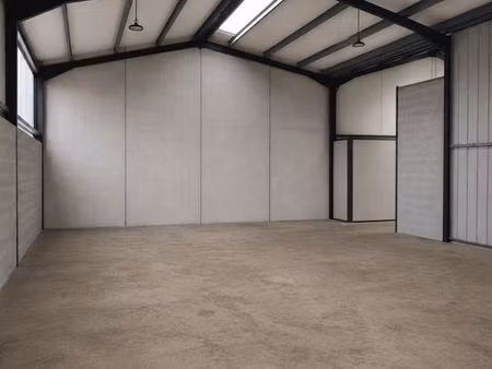 local d'activité stockage 230m2