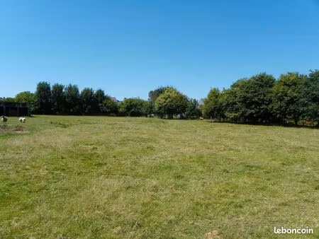 cherche terrain constructible