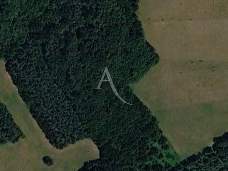 bois - montagnac-sur-lède - 24 000 m2