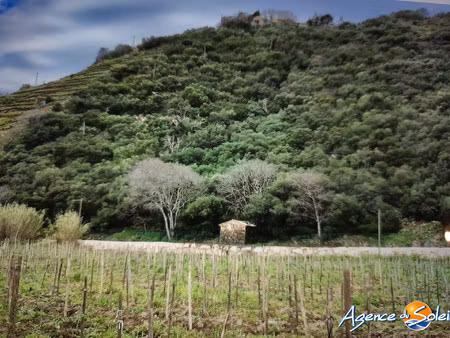 terrain de loisir