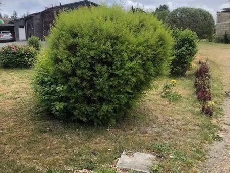 terrain à bâtir