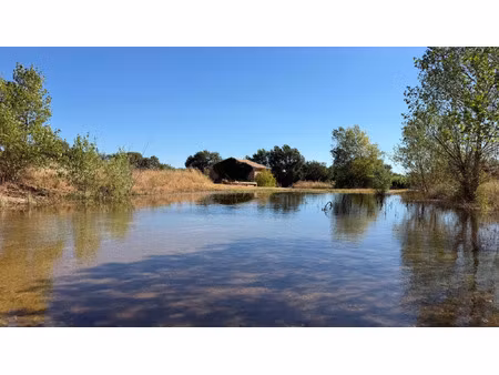 terrain à vendre le pouget 12929m2 77 000€