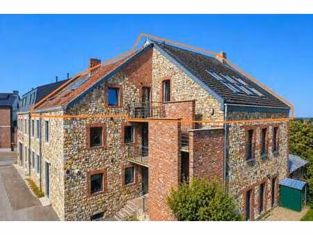 duplex 2 à 3 ch. avec terrasse