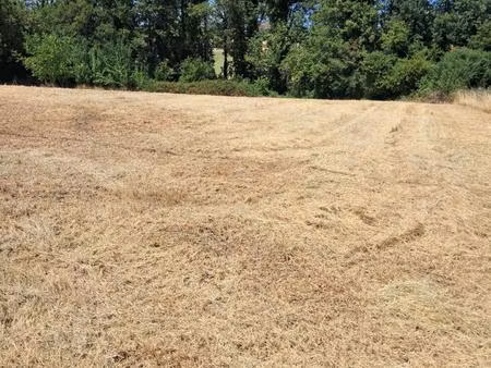 terrain à construire à la campagne de saulcet