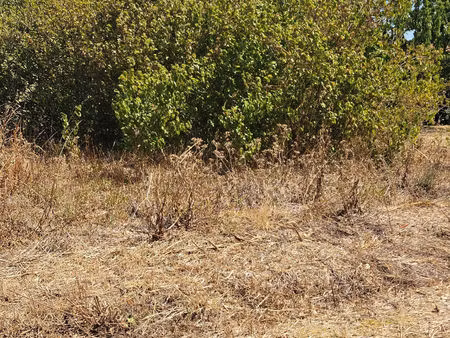 terrain 800 m2