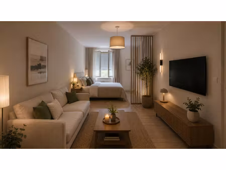 appartement champlan 1 pièce(s) 28.97 m2
