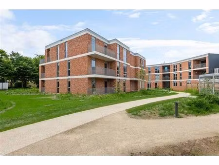 appartement à louer à molenstraat 2 balen (rbw56150)