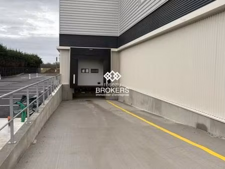 location entrepôt saint aignan grandlieu 44860 366m²