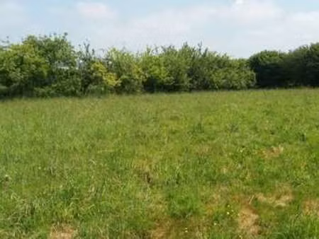 vente terrain à lamballe (22400) : à vendre / lamballe