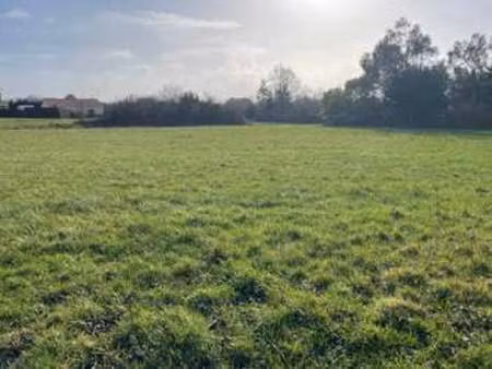 vente terrain à villeneuve-en-retz (44580) : à vendre / villeneuve-en-retz