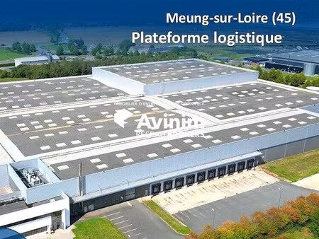 location entrepôt orleans 45000 30080m²