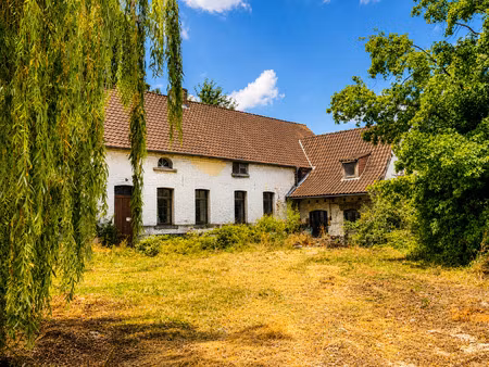 fermette à vendre avec terrasse et jardin   braffe (vbe50762)